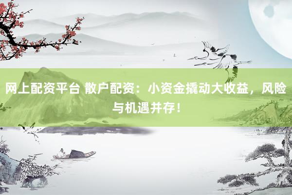 網上配資平臺 散戶配資：小資金撬動大收益，風險與機遇并存！